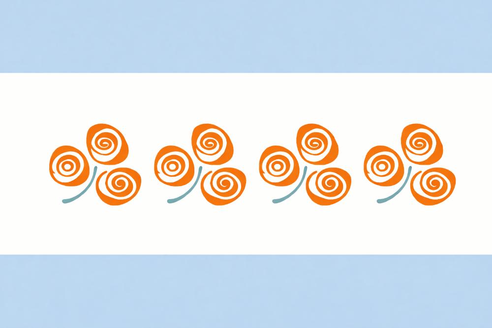 2026 Chicago Rose of Tralee Selection