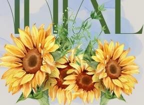 ✨ THE 2026 BIENNIAL ART EXHIBIT 🎨